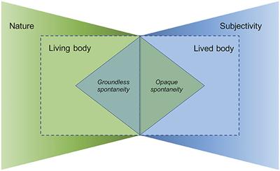 Book Review: Ecology of the Brain: The Phenomenology and Biology of the Embodied Mind